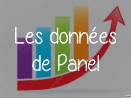 Econométrie des données de panel  